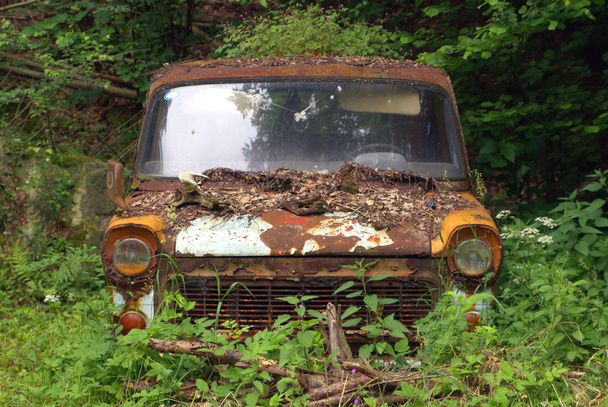 roncs autó a természetben - Fotó, kép