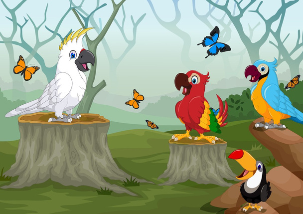 divertido aves y mariposa de dibujos animados con fondo de bosque profundo
 - Vector, Imagen