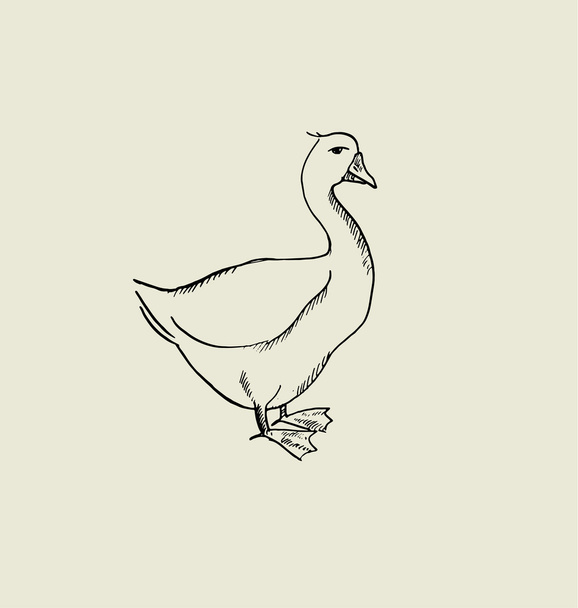 one goose  image. food hand drawn sketch vector illustration. - Vector, Image