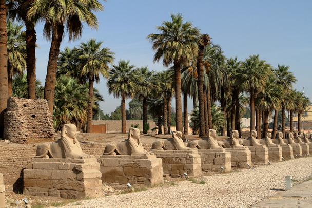 El camino de la Esfinge de Luxor en Egipto
 - Foto, Imagen