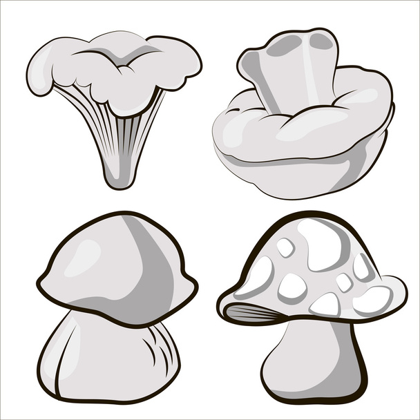 Vector cartoon illustration of mushrooms. Boletus edulis, chanterelle, mushroom, boletus. Network of sdobnyh yadoaityh and mushrooms. Black and white. - Vector, Imagen