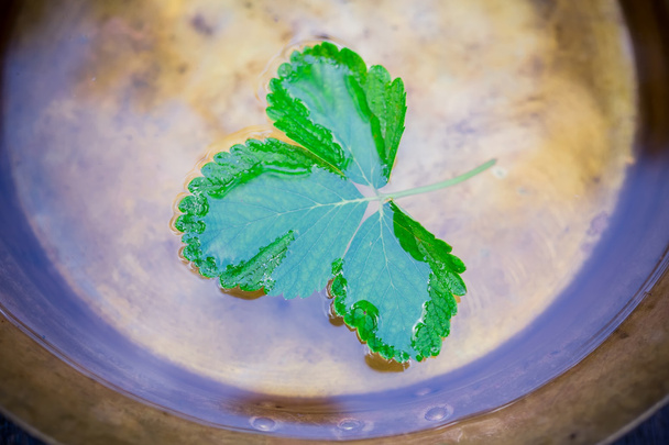 клубничный лист в медном железном бассейне с водой на деревянной поверхности
 - Фото, изображение