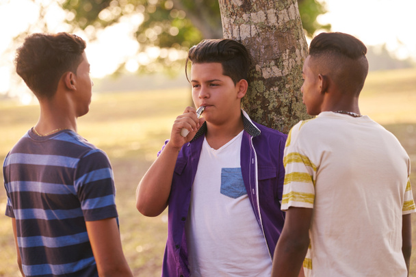 Gruppo di adolescenti in Park Boy fumare sigaretta elettronica
 - Foto, immagini
