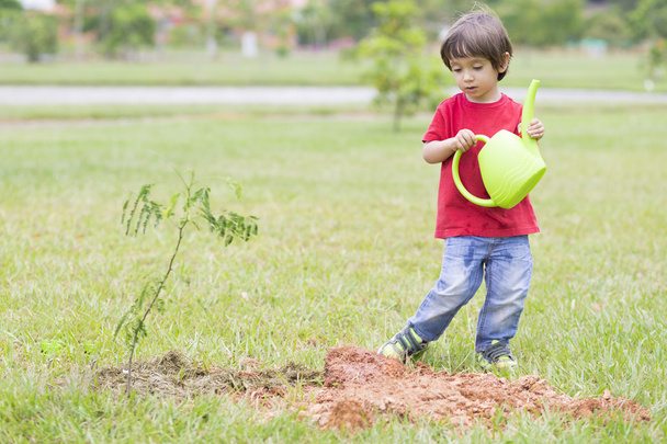 Lovely Boy Planting - Valokuva, kuva