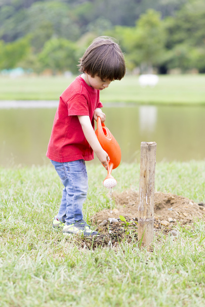 Lovely Boy Planting - Foto, Imagem