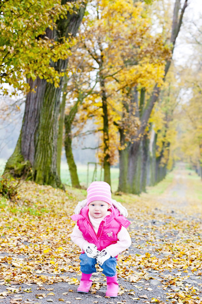 Маленькая девочка в осеннем переулке
 - Фото, изображение