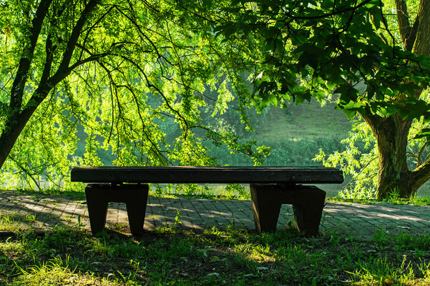 Скамейка на берегу озера в летний день
 - Фото, изображение