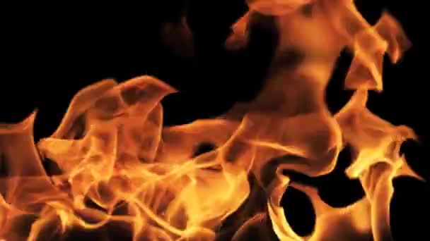 Égő tűz láng teljes képernyős - Felvétel, videó