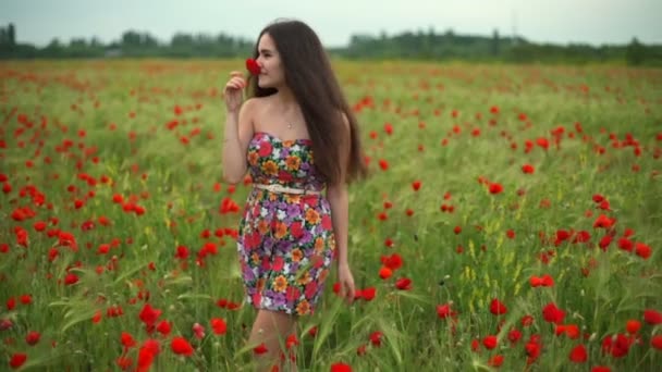 šťastné ženy čichání mák zpomaleně pole - Záběry, video