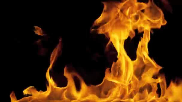 Brûler les flammes de feu Plein écran
 - Séquence, vidéo