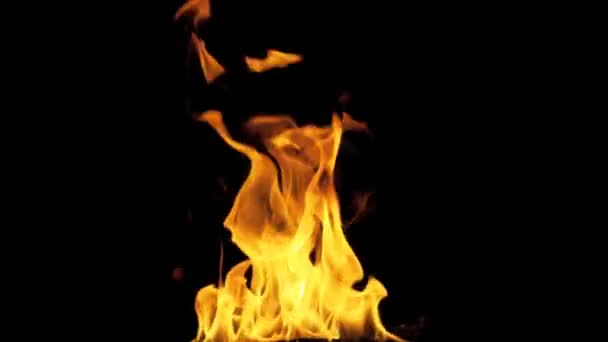 Brûler les flammes de feu Plein écran
 - Séquence, vidéo
