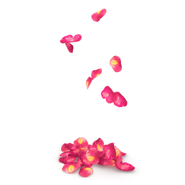 Розовые лепестки с крапинами падают на пол
 - Фото, изображение