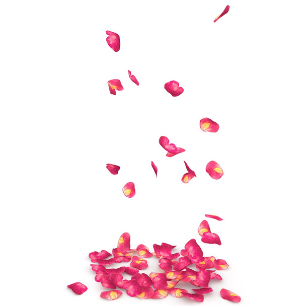 Petali di rosa maculato caduta sul pavimento
 - Foto, immagini