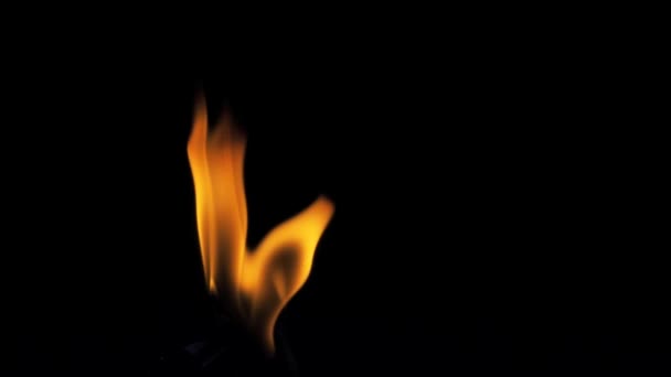 Brandende vuur Performer brand vanaf onderkant blazen - Video