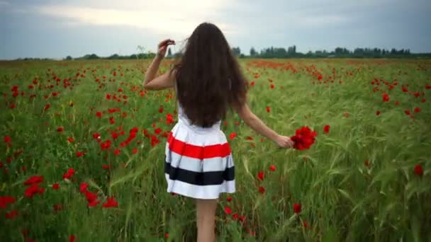 happy female runs away from camera in poppy field slow motion - Footage, Video