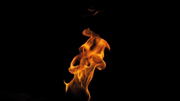 Fakkel brandende vuur Performer waait vanaf onderkant - Video