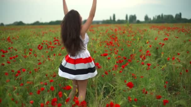 Glückliches Weibchen dreht sich in Mohnfeld-Zeitlupe - Filmmaterial, Video