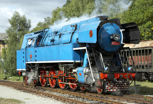 オウム、デポ luzna u rakovnik と呼ばれる蒸気機関車 - 写真・画像