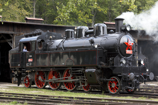 蒸気機関車、デポ luzna u rakovnika、チェコ共和国 - 写真・画像