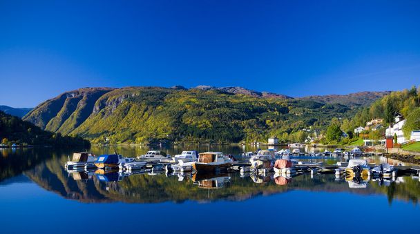 fiorde Ulvik, Noruega
 - Foto, Imagem
