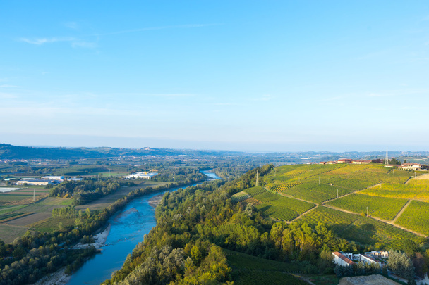 belos vinhedos na Suíça
 - Foto, Imagem