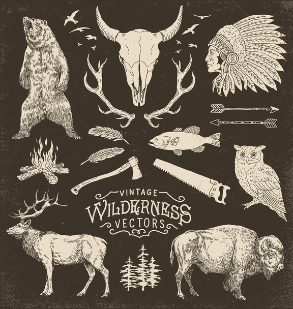 Ensemble d'illustration vectorielle Vintage Wilderness
 - Vecteur, image