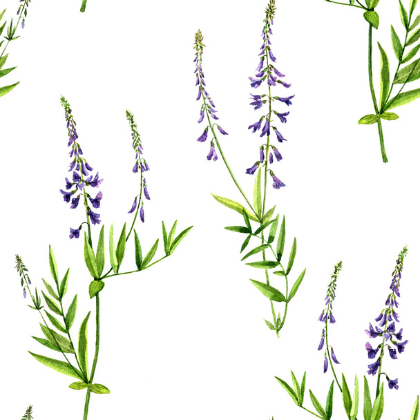 Seamless pattern with watercolor drawing flowers - Φωτογραφία, εικόνα