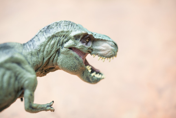 Nahaufnahme von Tyrannosaurus-Spielzeug Kopf auf Stein - Foto, Bild