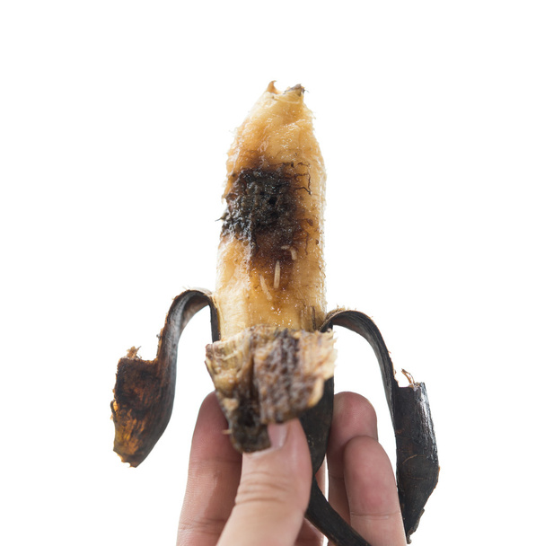 ręka trzyma przejrzałych bananów z robakami na białym tle - Zdjęcie, obraz
