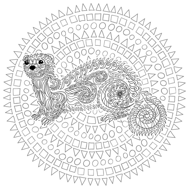 Hand drawn ferret with high details. - Vektor, Bild