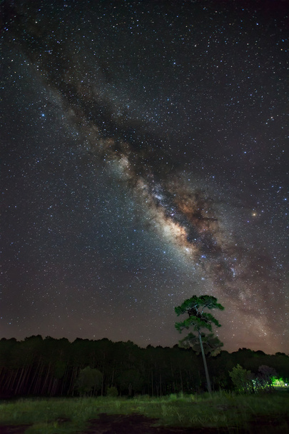Галактики Чумацький шлях і силует Tree.Long експозиції фотографії - Фото, зображення