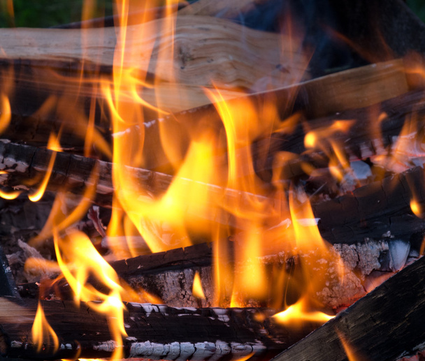 燃えている石炭や燃焼木材 - 写真・画像