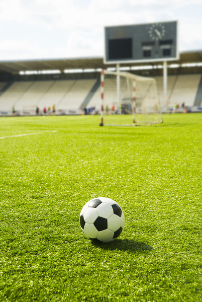 Soccer ball  on green grass field  - Valokuva, kuva
