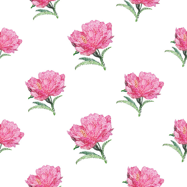 peony flowes pattern  - Vector, Image