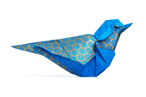 Origami blue bird - Foto, Bild