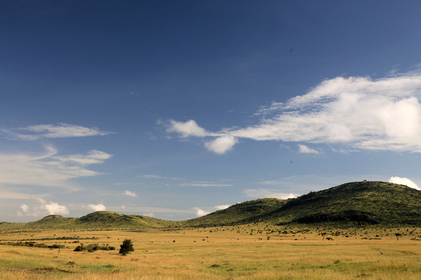 great rift valley - maasai mara - Kenia - Zdjęcie, obraz