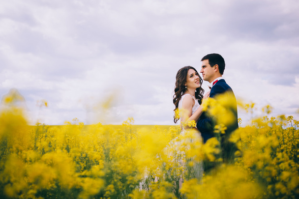 Recién casados en un paseo de bodas
 - Foto, imagen