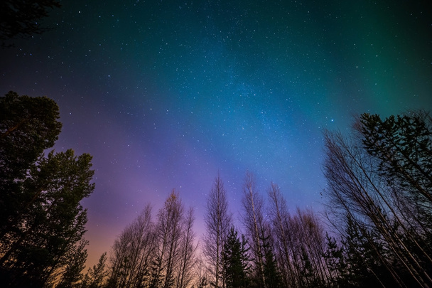 Aurora boreal azul y violeta
 - Foto, imagen