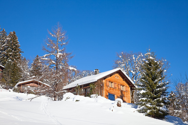 Buildings in the winter swiss alps - Фото, изображение