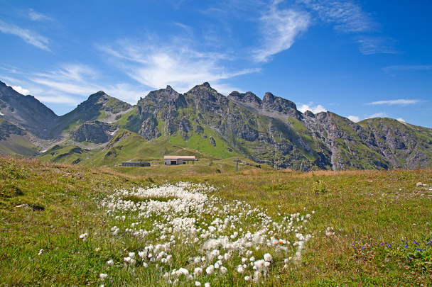 landscape near peak Pizol - Photo, Image