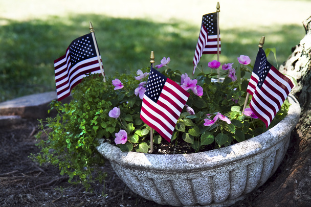 Planter American Flags - Foto, afbeelding