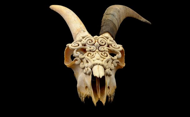 Goat's skull decorated with  Polymer clay ( original horn uncut and Selective focus) - Фото, изображение