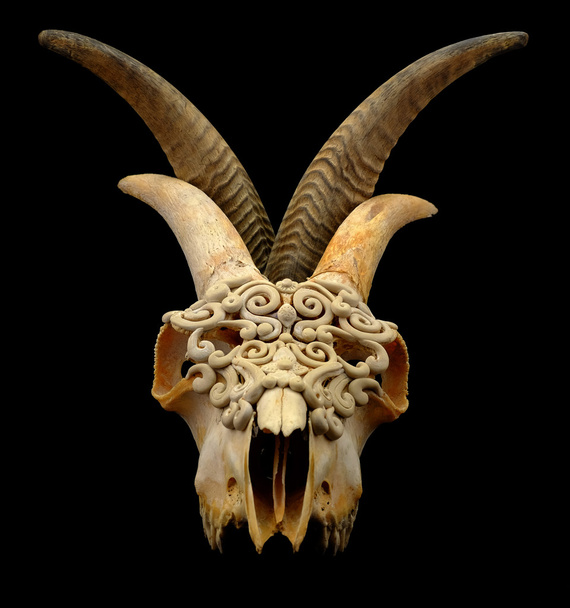 ポリマー粘土で飾られたヤギの頭蓋骨 (元ノーカットで選択的なフォーカスをホーン) - 写真・画像