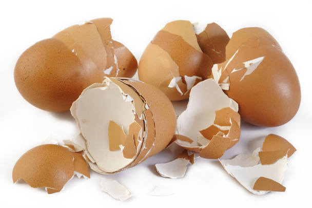 Cáscara de huevo sobre fondo blanco
 - Foto, Imagen