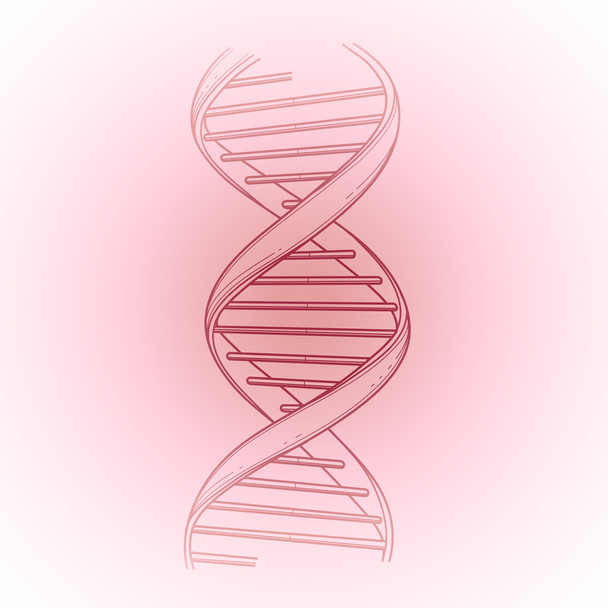 Struttura grafica del DNA
 - Vettoriali, immagini