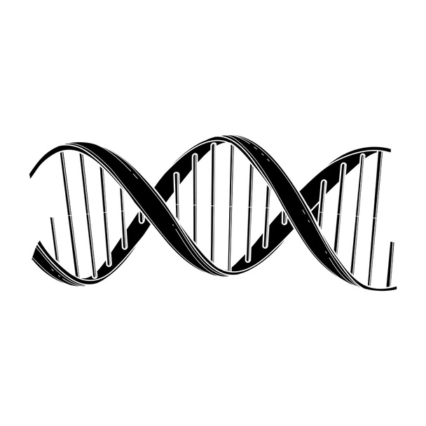 Graphic DNA structure - Vector, Image