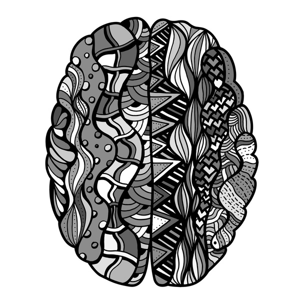 Schetsmatig menselijk brein - Vector, afbeelding