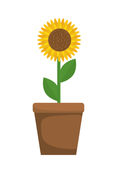 Flower and pot  icon. Garden design. Vector graphic - Vector, imagen