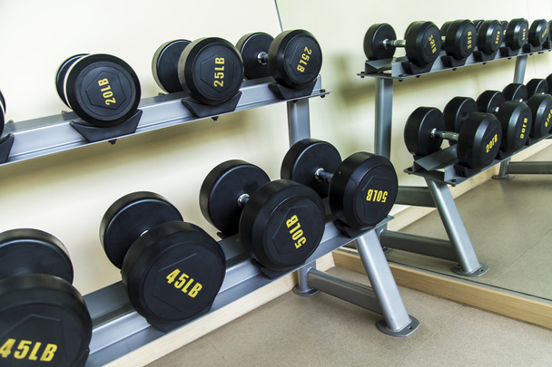 Home Ginásio, halteres alinhados em um estúdio de fitness
 - Foto, Imagem