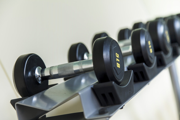 Home Gym, halters opgesteld in een fitness-studio - Foto, afbeelding